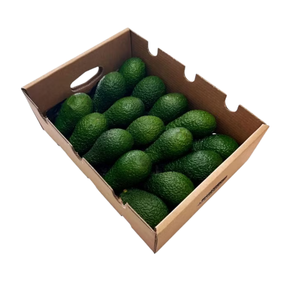 CAJA 5KG AGUACATES